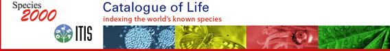 catalog of life logo
