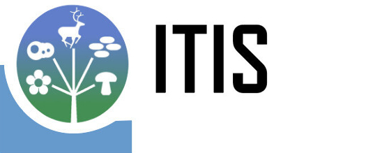 ITIS.gov