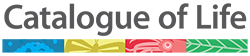 catalog of life logo