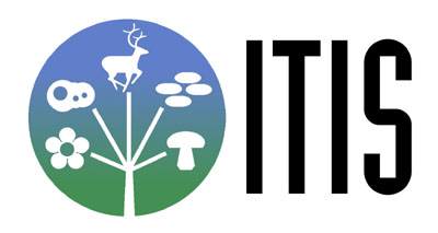ITIS circular taxonomic tree symbol and text